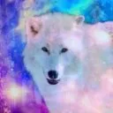 • Forbidden Obsessions • Discord Server Icon