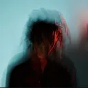 V E K