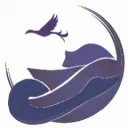 ✧˚ ·เมธาวีวิทยา🪻༉₊˚