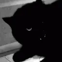 ✩ Abyss ✩'s icon