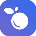 SilentBerry