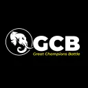 Great Champions Battle