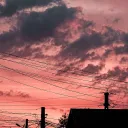 Boink's server's icon