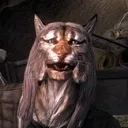 Khajiit Trading Hub