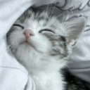 ᴍᴇᴛᴇᴏʀ sʜᴏᴡᴇʀ  (• ˕ •マ.ᐟ Discord server icon