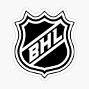 Battle Hockey League: THE NEW BATTLE Discord server icon