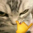 # obsessed Discord server icon