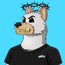 CroHounds | $BONE Discord Server Icon