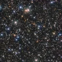 The Celestial Meadow