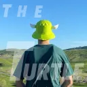The Turtle official server