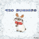 ❄⋆*420 𖦹 Bunnies ‧₊˚⛄ Discord server icon