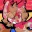 Leafpool Ninja MAP