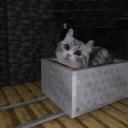 silly cats smp aka' /kitties ⋆˙⟡