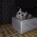 silly cats smp aka' /kitties ⋆˙⟡