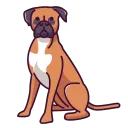 Dog World