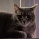 Kez Is a ratafacker