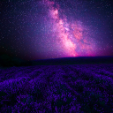 The Cozyshelter [REVAMP] Discord server icon