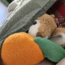 skoof