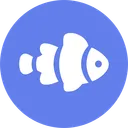 Neemo Finance