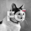 Feline Guardians || PL 🇵🇱