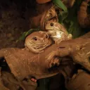 Grendelwendells Froschteich