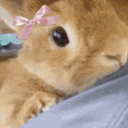 bunnies Discord server icon