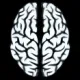 Neurotrauma Fork