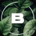BAC