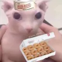 El rincón del anexo