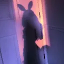 𝑩𝑼𝑵𝑵𝒀'𝑺 𝑺𝑯𝑶𝑷