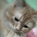 Sowrov.aterons.me Discord server icon