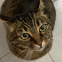 🌑・lunaria  ☀ Discord server icon