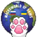 Macroworld of Paws 🐾