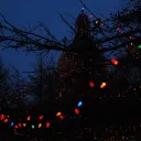 ☃🎄𝑻𝒉𝒆 𝒃𝒓𝒊𝒈𝒉𝒕 𝒔𝒊𝒅𝒆 𝒐𝒇 𝑪𝒉𝒓𝒊𝒔𝒕𝒎𝒂𝒔 𝒏𝒊𝒈𝒉𝒕 🎄☃