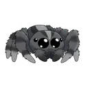 On The Web