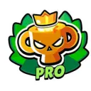 Brawl Rank Up