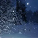 Snowy's Arctic Oasis