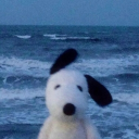 ﹑♡ ⋆ Empty Seas﹒.ᐟ.ᐟ Discord server icon