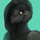 The Corvid Realm