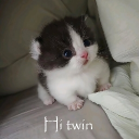 Nocturne Discord server icon