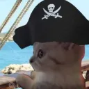 The Captain's Vessel