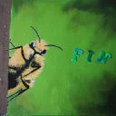 The Hive