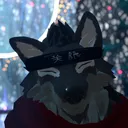 「天狼」Tenrou Ninja Wolves Dojo