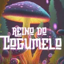 Reino do Cogumelo