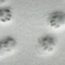>_<