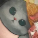 雑魚のサーバー