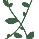 差別主義の花言葉