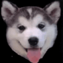 Lobosjr's Wolfpack Den