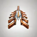 Bar Pectus