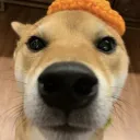 wyd.sol.doge.discordserver